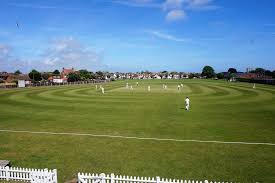Image result for Bere Regis Cricket Club