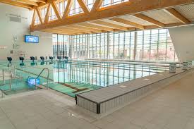 Image result for Exeter Waterpolo and Swimming Club