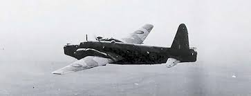 Image result for Wellington Whirlwinds Tc