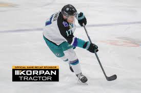 Image result for Streatham Night Wolves Ice Hockey Team