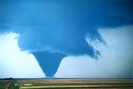 Image result for Tadcaster Tornadoes