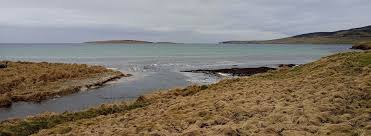 Image result for Orkney Octopush Club