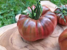 Afbeeldingsresultaat voor marizol purple tomato