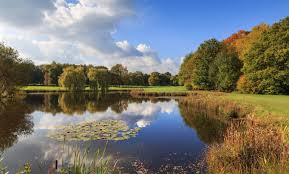 Image result for Chobham Golf Club