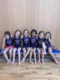 Image result for Diamonds Gymnastics Club