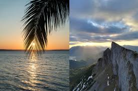 Image result for bilder