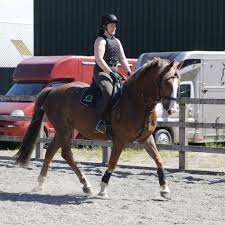 Image result for Peebles & District Riding Club