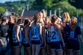 Image result for Engineering Services Netball Club