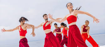 Image result for Dhun Eidedann Dancers Dancing Troupe