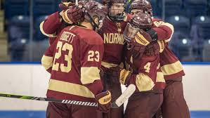 Image result for Norwich Dragons Hockey Club