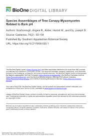 Attēlu rezultāti vaicājumam “Badhamiopsis ainoae spores”