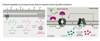 Image result for Trojan Abc