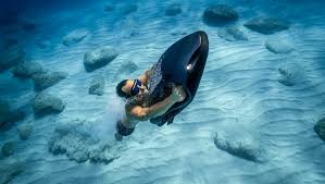 Image result for Seabug Divers