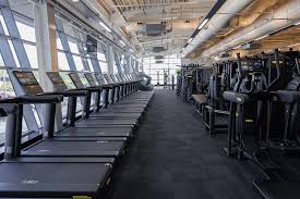 Image result for York University Aerobics Club