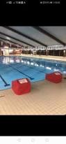Image result for Loftus Dolphins Swimming Club