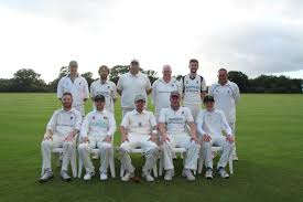 Image result for Dinas Powys Cricket Club