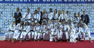 Image result for Felixstowe Judo club