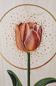 Attēlu rezultāti vaicājumam “Tulipa gesneriana flower”