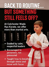 Image result for Colchester Wado Ryu Karate