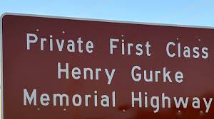 Image result for Gurke