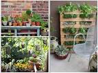 Diy Garden Decor Ideas With Ornamental Plants | Stogielife