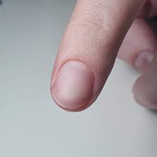 Image result for lunula nail