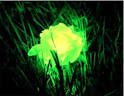 If Web 1.0's Kryptonite Was the Bust, Web 2.0 Kryptonite Was the ...