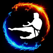 Image result for Bytomic Tae Kwon Do Beaconsfield