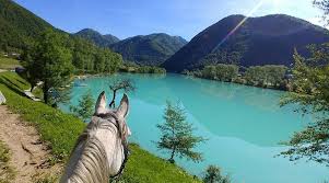 Image result for Lakes Riding Club