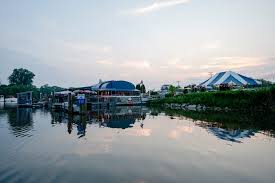 Image result for Falmouth and Helston Octopush Club