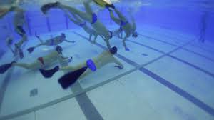 Image result for Croydon Wimbledon Octopush Club