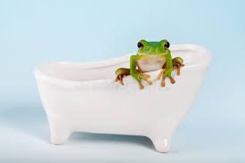 Image result for Bath Amphibians