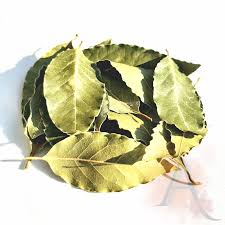 Image result for feuille-laurier-silex