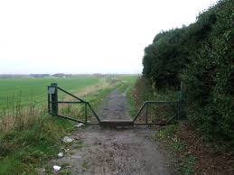 Image result for Higham & Mockbeggar Cc