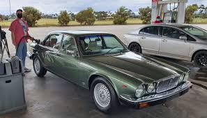 Image result for Sage Green 1983 Jaguar