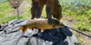 Image result for Harleston Magpies Hockey Club