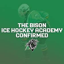 Image result for Basingstoke Bison Ice Hockey Club