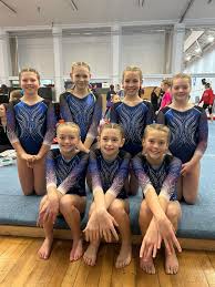Image result for Uttoxeter Gymnastics Club