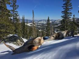 Image result for Uwe Mountain & Hillwalking Club