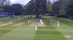 Image result for Almeley Cricket Club