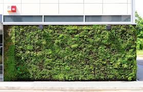Image result for living wall