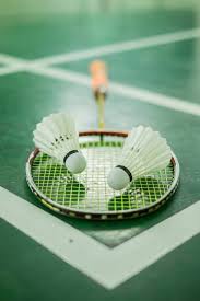 Image result for Chew Park Badminton Club