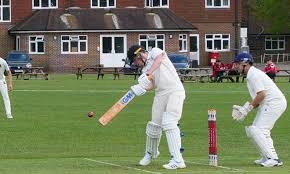 Image result for Lingfield Cricket Club