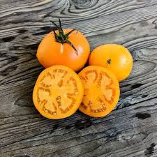 Afbeeldingsresultaat voor caro rich tomato