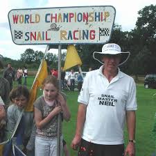 Image result for World Snail Racing Championships