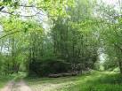 TQ6336 : Track junction in Jews Wood. near to Bells Yew Green, East Sussex, - via Daymix