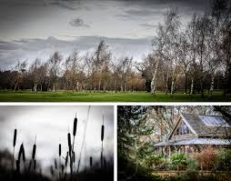 Image result for Peover Golf Club