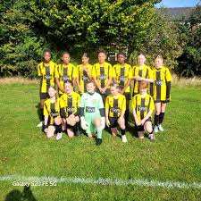 Image result for Brendon Bees Junior Football Club