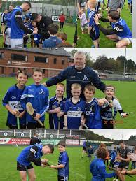 Image result for Sarsfields Hurling Club