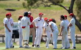 Image result for Southern Railway & Kenley Cricket Club